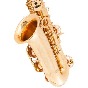Aisiweier Eb Alto Saxophone New Arrival Brass Gold Lacquer Music Instrument E-flat Sax with Case Accessories