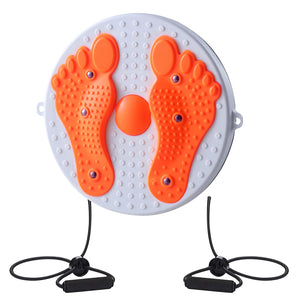 Twister Board for Exercise Waist Twisting Disc with Handles Magnet Balance Board Home Aerobic Exercise Fitness Equipment