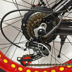 48v 20ah Electric bicycle 2000W Electric Beach Bike 4.0 Fat Tire Electric Bike 48V Mens Mountain Bike Snow E-bike 26inch Bicycle