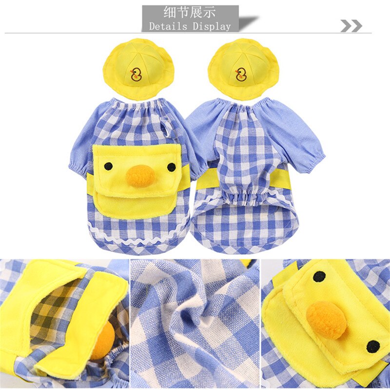 Cute Dog Suite