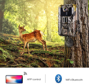 Wifi Hunting Cameras 940nm APP Surveillance Wireless Bluetooth Control Wifi900 1296P Night Vision Wildlife Photo Traps Camera
