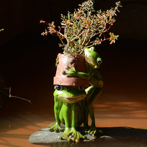 Mini Plant Pot with Cut Frog Flower Pot Fairy Garden Animal Frog Succulent Pot Outdoor Decoration Clay Flowerpot
