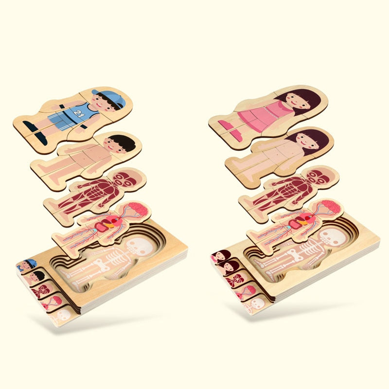 Montessori Educational Boys Girls Body Structure Puzzle Children Wooden Toys Children Puzzles Kids Early Educational Toys