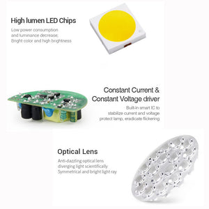 New upgrade 9W RGB+CCT Smart LED Garden Light 900LM Waterproof Outdoor LED Lighting IP66,AC 220V Color Temperature: 2700~6500K