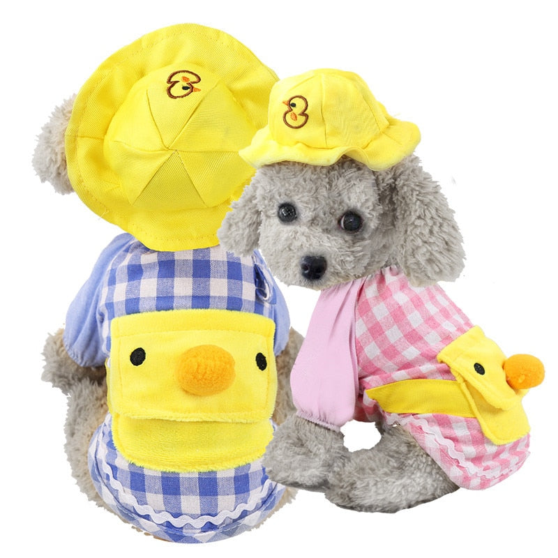 Cute Dog Suite