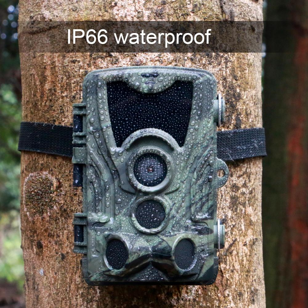 Hunting Camera Trail Cameras 20MP 1080P  Night Vision Photo Trap  HC801A Wireless Wildlife Surveillance Tracking
