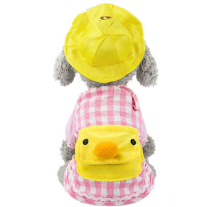 Cute Dog Suite