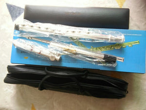 Professional New flute music instrument 17 E-Key Silver C Tune open close commonly used flute Gold Mouthpiece free