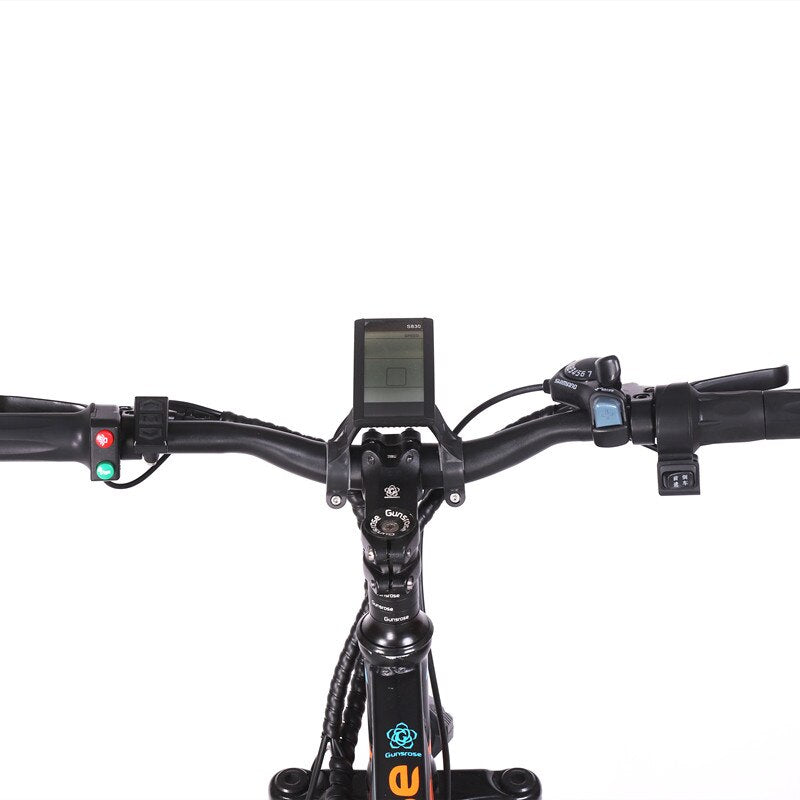 Electric Bicycle 48V2000W Sport Mountain Electr Bike 32AH Fat Tire Snow Electric Bike Lithium Battery ebike Electrical Bicycle