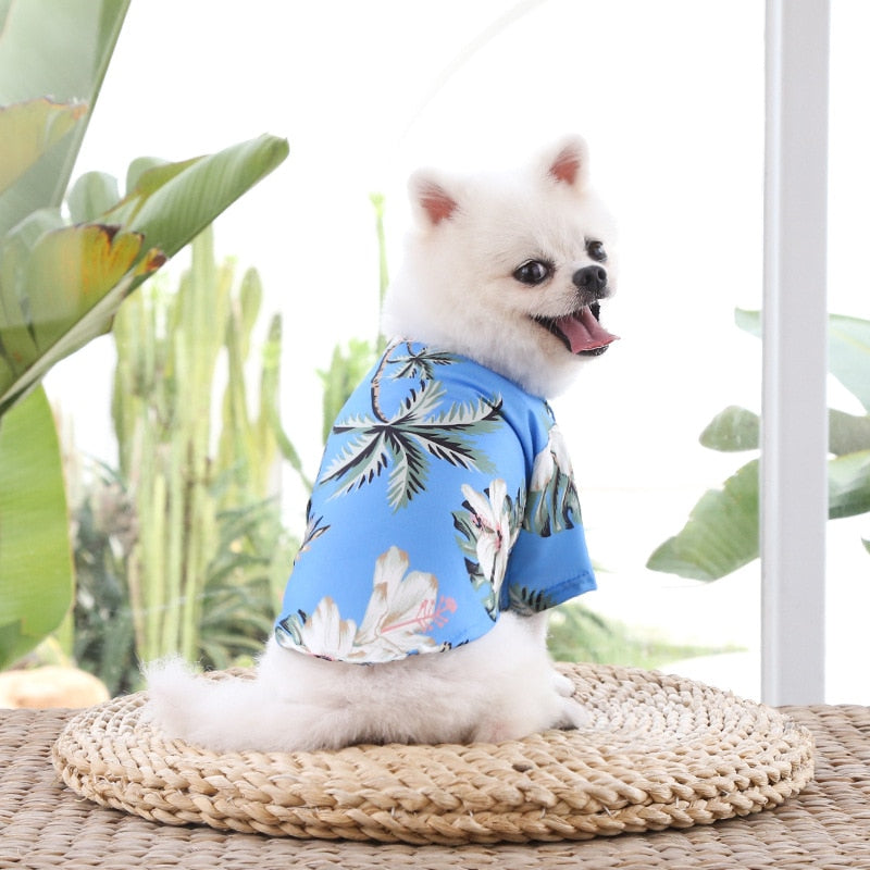 Dog Summer Photo Shirt