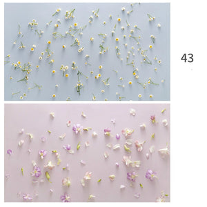 Photo Studio Back Drops Background Product Photography Food Props Backdrops for Photographers Christmas Morandi  Paper 57*87cm