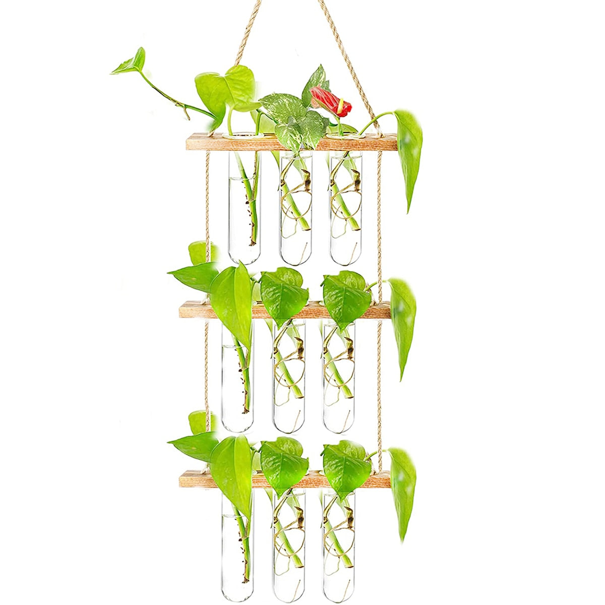 Ins Wall Hanging Glass Planter Terrarium Container Flower Bud Vase with Wooden Test Tube Holder for Propagation Hydroponic Plant