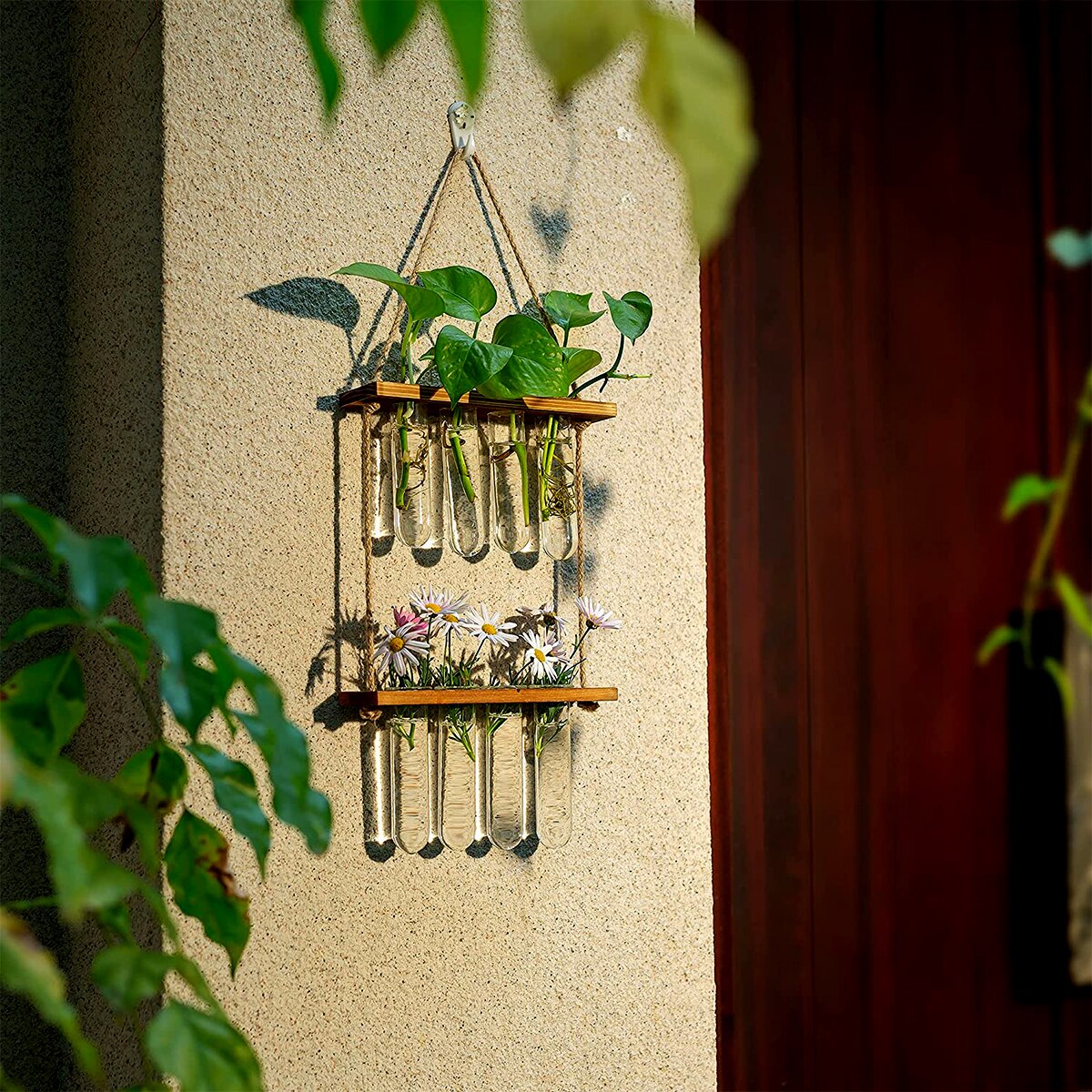 Ins Wall Hanging Glass Planter Terrarium Container Flower Bud Vase with Wooden Test Tube Holder for Propagation Hydroponic Plant