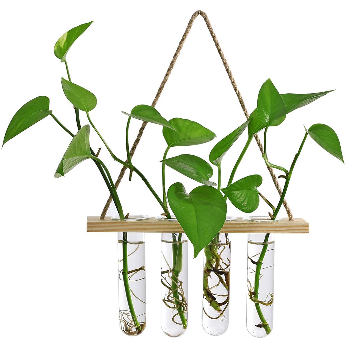 Ins Wall Hanging Glass Planter Terrarium Container Flower Bud Vase with Wooden Test Tube Holder for Propagation Hydroponic Plant