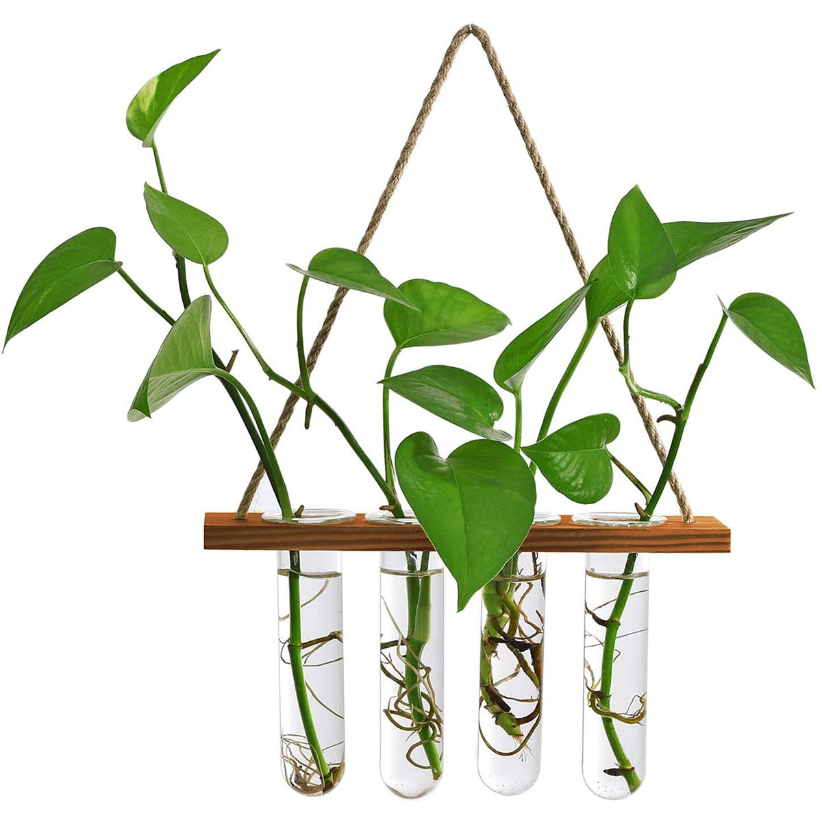Ins Wall Hanging Glass Planter Terrarium Container Flower Bud Vase with Wooden Test Tube Holder for Propagation Hydroponic Plant